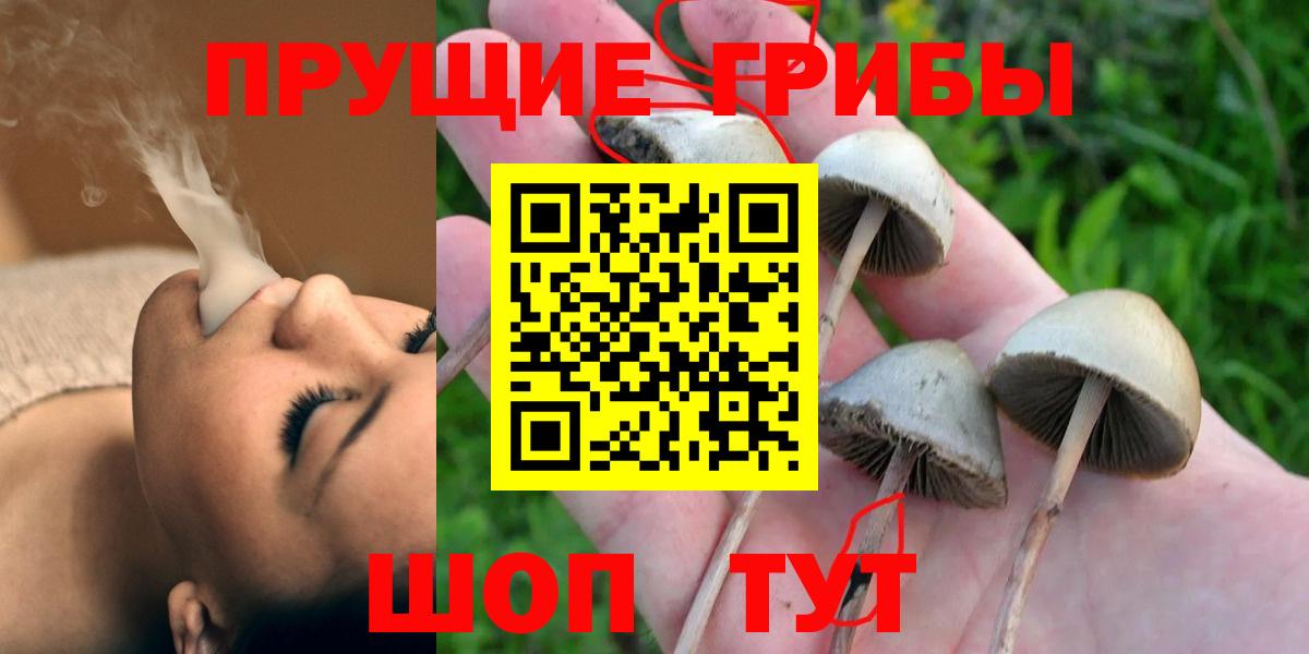 Барабинск  дарнет шоп  Вход с VPN  Псилоцибиновые грибы ЛСД  Псилоцибиновые грибы Psilocybine cubensis 